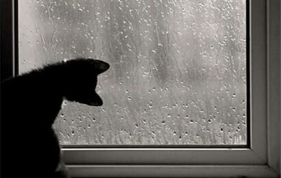 Những câu stt buồn về mưa nghe nhói lòng Những câu stt buồn về mưa nghe nhói lòng