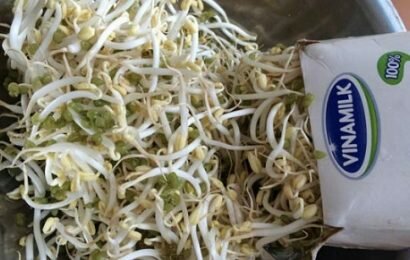 Cách làm giá đỗ bằng vỏ hộp sữa, tại sao không? Cách làm giá đỗ bằng vỏ hộp sữa, tại sao không?