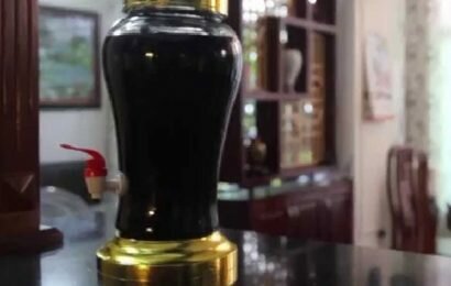 Cách ngâm rượu ba kích tươi an toàn và hiệu quả nhất