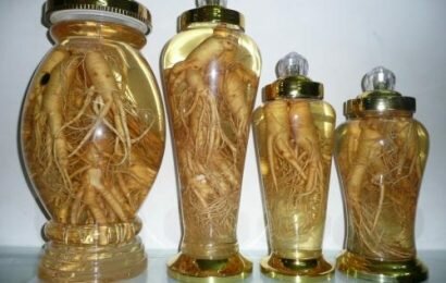 Cách ngâm rượu sâm đất đơn giản, đạt hiệu quả tốt nhất Cách ngâm rượu sâm đất đơn giản, đạt hiệu quả tốt nhất