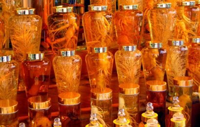 5 tác dụng tuyệt vời của sâm ngâm rượu đối với sức khỏe 5 tác dụng tuyệt vời của sâm ngâm rượu đối với sức khỏe