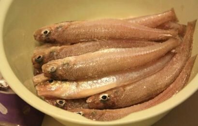 Các cách kho cá bống ngon hơn cả sức tưởng tượng của bạn Các cách kho cá bống ngon hơn cả sức tưởng tượng của bạn