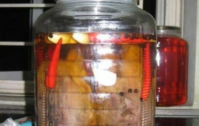 Cách làm bắp bò ngâm giấm chua ngon khiến ông xã mê tít Cách làm bắp bò ngâm giấm chua ngon khiến ông xã mê tít