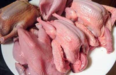 Cách làm thịt chim bồ câu nấu cháo chỉ trong 10 phút