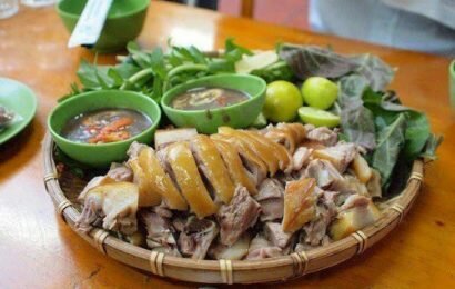 Cách luộc thịt chó ngon đảm bảo cả trăm người đều làm được Cách luộc thịt chó ngon đảm bảo cả trăm người đều làm được