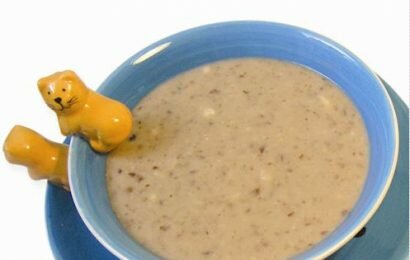 Chi tiết cách nấu cháo chim bồ câu cho bé ăn dặm chuẩn nhất Chi tiết cách nấu cháo chim bồ câu cho bé ăn dặm chuẩn nhất