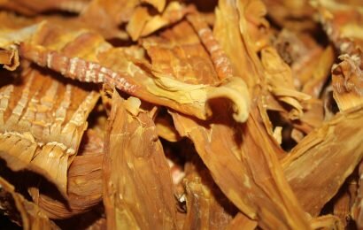 Mách nhanh cách ngâm măng khô mau mềm, nấu canh cực ngon Mách nhanh cách ngâm măng khô mau mềm, nấu canh cực ngon