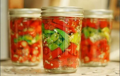 Tổng hợp những món ớt ngâm ngon thêm gia vị cho bữa ăn Tổng hợp những món ớt ngâm ngon thêm gia vị cho bữa ăn