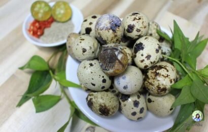 Đột phá với cách làm trứng cút lộn luộc nước dừa Đột phá với cách làm trứng cút lộn luộc nước dừa