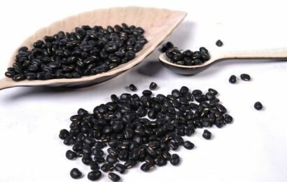 Bột đậu đen rang: cách làm và công dụng Bột đậu đen rang: cách làm và công dụng