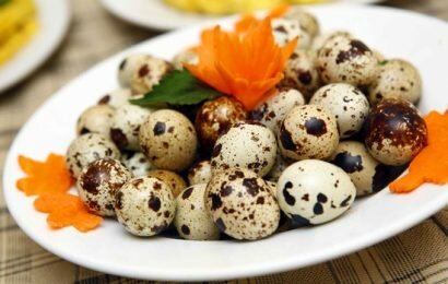 Cách luộc trứng cút lộn ngon, đừng nên xem thường nhé!