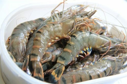 cháo tôm nấu với rau gì