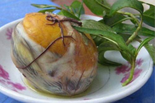 trẻ em ăn trứng cút lộn có tốt không? 2