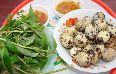 Bật mí một chút nhé: Ăn trứng cút lộn có béo không? Bật mí một chút nhé: Ăn trứng cút lộn có béo không?