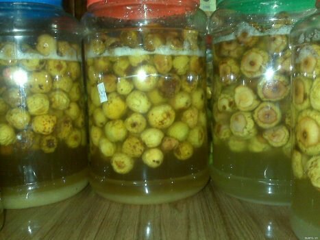 Táo mèo ngâm đường chữa bệnh