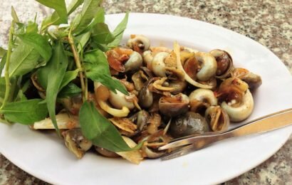 Mách bạn cách làm món ốc mỡ xào tỏi thơm ngon hấp dẫn Mách bạn cách làm món ốc mỡ xào tỏi thơm ngon hấp dẫn