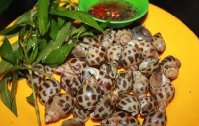 Chỉ dẫn bạn cách luộc ốc hương ngon khỏi phải bàn
