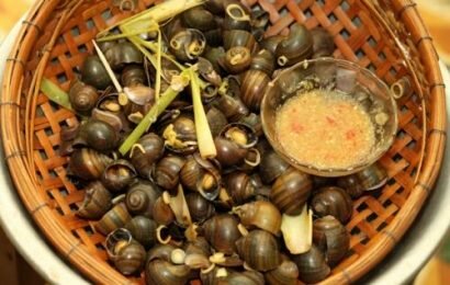 Giới thiệu cách chế biến ốc đá thơm ngon đến mê luôn!