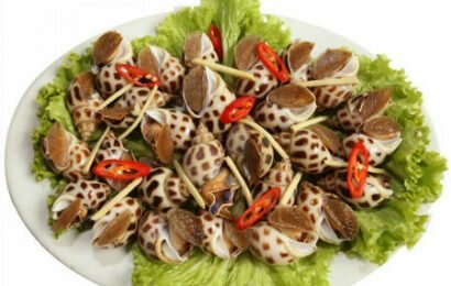 Học cách luộc ốc biển ngon và đơn giản ngay tại nhà