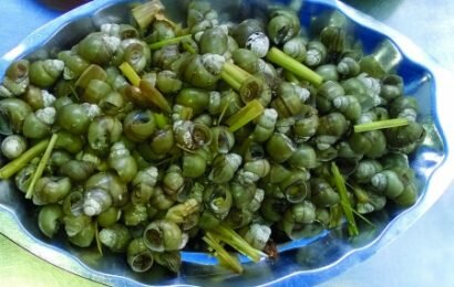 Cùng xem cách luộc ốc gạo ngon và thơm như ngoài hàng