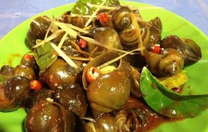 Hướng dẫn cách xào ốc biển thơm ngon lạ miệng theo kiểu mới