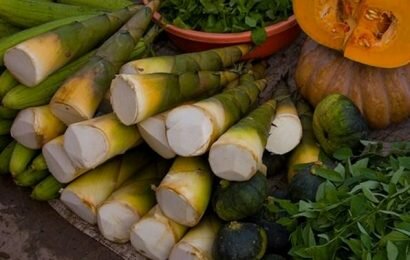 Cách luộc măng không đắng nhanh mà dễ làm tại nhà đơn giản Cách luộc măng không đắng nhanh mà dễ làm tại nhà đơn giản