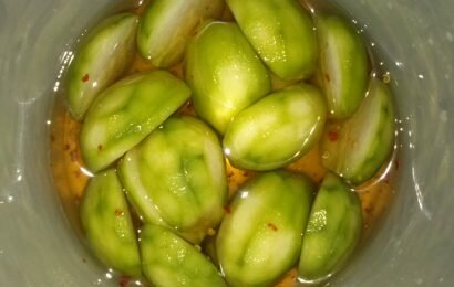 Bí quyết cho cách làm cóc ngâm ngon để được lâu Bí quyết cho cách làm cóc ngâm ngon để được lâu