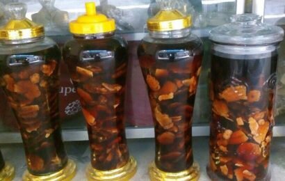 Tìm hiểu cách ngâm rượu hà thủ ô tốt cho sức khỏe Tìm hiểu cách ngâm rượu hà thủ ô tốt cho sức khỏe