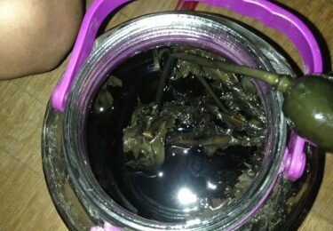 Thực hư về cây thuốc phiện ngâm rượu có tác dụng gì? Thực hư về cây thuốc phiện ngâm rượu có tác dụng gì?