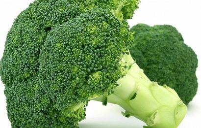 Ăn súp lơ xanh nhiều có tốt không ? Giải đáp cùng bạn Ăn súp lơ xanh nhiều có tốt không ? Giải đáp cùng bạn