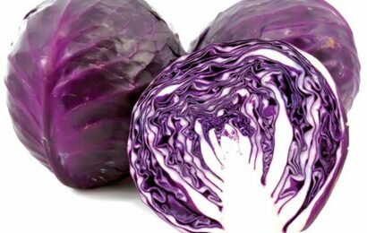 Cùng Em vào bếp khám phá bắp cải tím có tác dụng gì nào? Cùng Em vào bếp khám phá bắp cải tím có tác dụng gì nào?