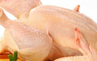 Cùng Emvaobep tìm hiểu xem thịt gà công nghiệp có tốt không