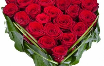 Hướng dẫn cách cắm hoa hồng đỏ đơn giản mà đẹp Hướng dẫn cách cắm hoa hồng đỏ đơn giản mà đẹp