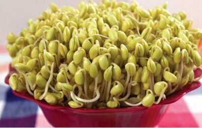 Hướng dẫn cách làm giá đỗ đậu nành nhanh, sạch và đơn giản