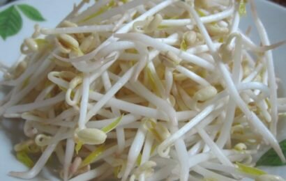 Cách làm giá đỗ xanh an toàn, nhanh và đơn giản tại nhà