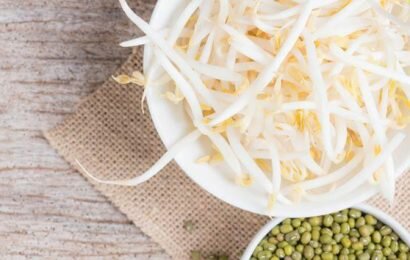 Chi tiết các bước trong cách ngâm giá đỗ mập tại nhà Chi tiết các bước trong cách ngâm giá đỗ mập tại nhà