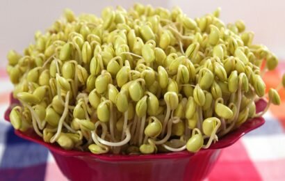 Học cách ngâm giá đỗ tương để tận dụng những tác dụng tuyệt vời