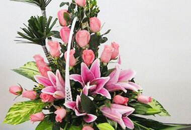 Cách chọn những lãng hoa hồng đẹp tặng sinh nhật