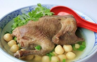 Giới thiệu cách hầm chim bồ câu hạt sen thơm ngon bổ dưỡng Giới thiệu cách hầm chim bồ câu hạt sen thơm ngon bổ dưỡng