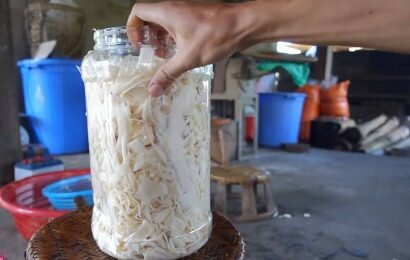 Hướng dẫn cách làm măng chua để lâu không lo hỏng, bí quyết ngâm măng chua hiệu quả Hướng dẫn cách làm măng chua để lâu không lo hỏng, bí quyết ngâm măng chua hiệu quả