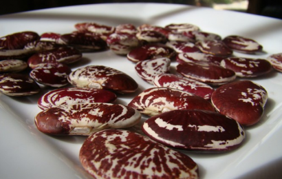 Cách làm mứt đậu ngự ngọt bùi, thơm ngon đậm vị