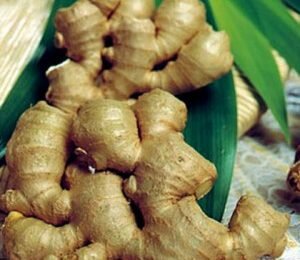 Cách ngâm rượu gừng gió đúng cách ai cũng nên biết