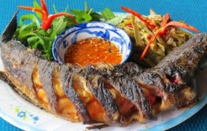 Chia sẻ tất tần tật các món ngon từ cá măng Chia sẻ tất tần tật các món ngon từ cá măng
