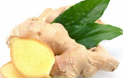 Bí quyết cách ngâm rượu gừng để xoa bóp hiệu quả