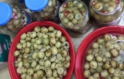 Đặc sản vùng cao: Cách làm quả me rừng ngâm rượu có lợi cho sức khỏe
