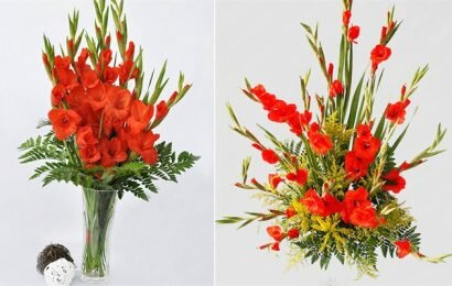 Tìm hiểu về cách chọn và cắm hoa lay ơn ngày Tết Kỷ Hợi 2019 Tìm hiểu về cách chọn và cắm hoa lay ơn ngày Tết Kỷ Hợi 2019