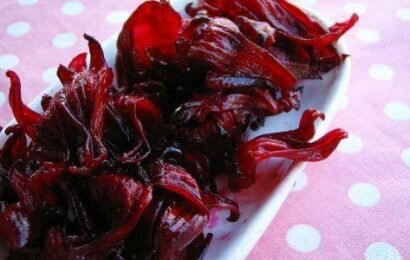 Cách làm mứt từ hoa atiso đỏ thơm ngon cho ngày Tết Cách làm mứt từ hoa atiso đỏ thơm ngon cho ngày Tết