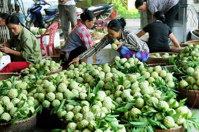 dac san na dai huyen son 553479 Em Vào Bếp