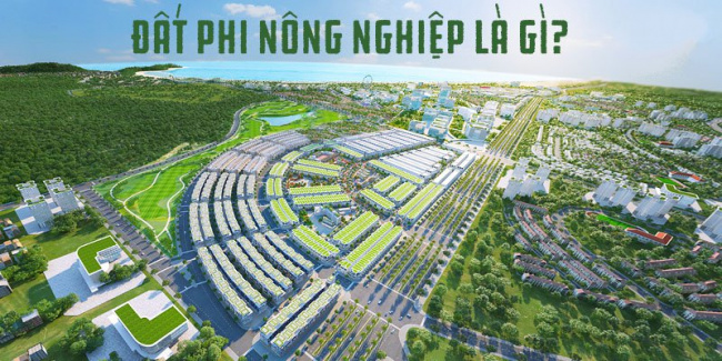 image dat phi nong nghiep la gi tim hieu ve dat phi nong nghiep 165432227619440 Em Vào Bếp