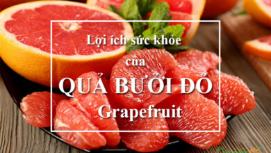 image 10 loi ich suc khoe tuyet voi cua buoi do grapefruit 165720907997234 Em Vào Bếp